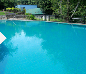 Holiday Bungalow in Kandy - Accommodation Image